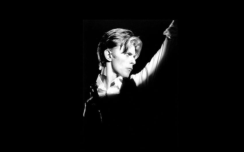 Elogio: David Bowie, o duque branco e magro papel de parede HD