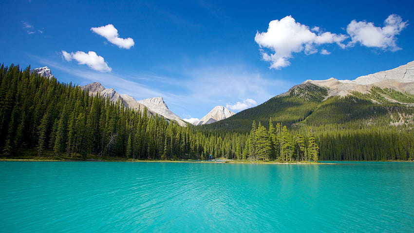 Top 10 Hotels Closest to Maligne Lake in Jasper from $72 HD wallpaper