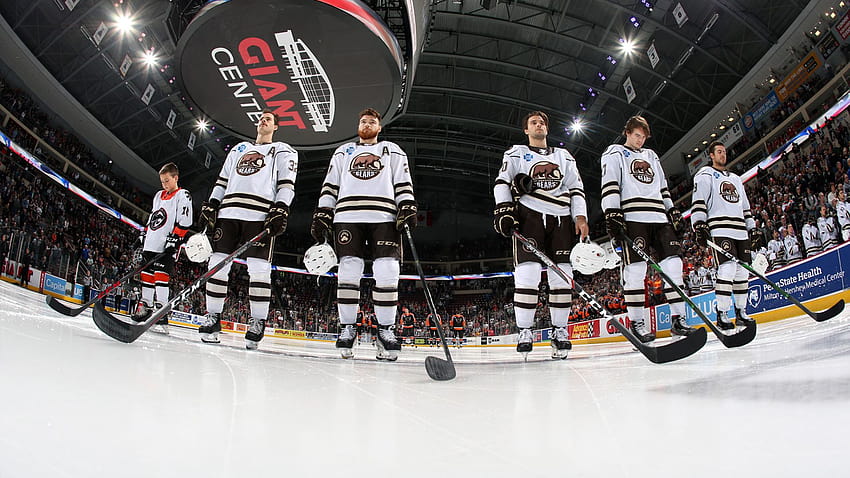 Get your Hershey Bears Teleconference Backgrounds Here! HD wallpaper