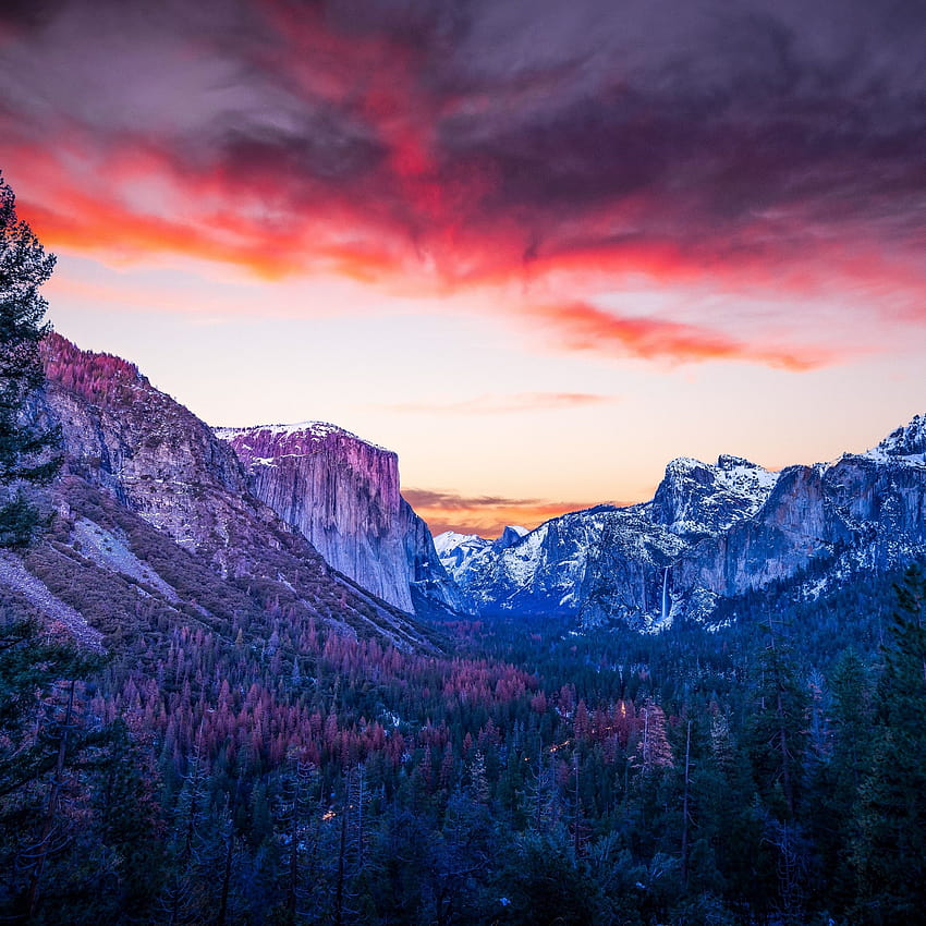 Yosemite National Park, Yosemite Valley, Mountains, R, Landscape, Nature, yosemite valley morning fog HD phone wallpaper