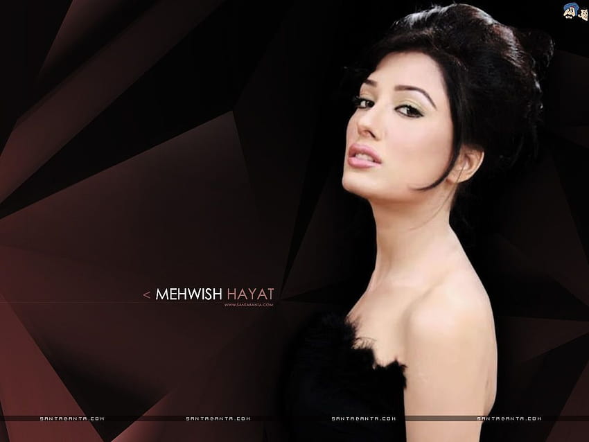 Mehwish Hayat fondo de pantalla