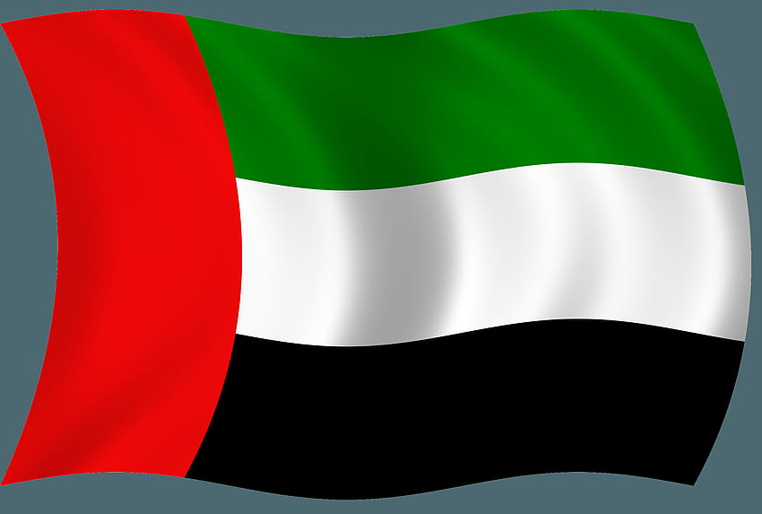667.7 kb, v.5.5, Дубай, Обединени арабски емирства, F:466983246, флаг на Дубай HD тапет