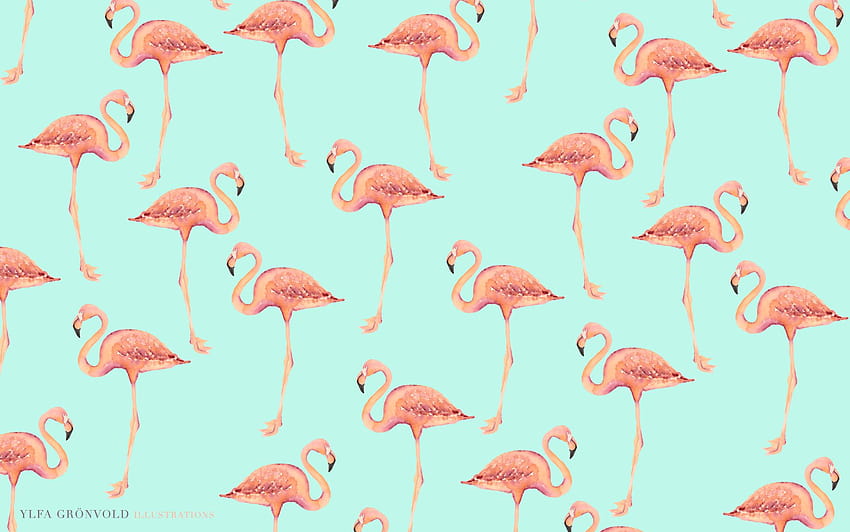 flamingo albert computer tv HD wallpaper