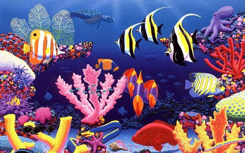 Beautiful water animals HD wallpaper | Pxfuel