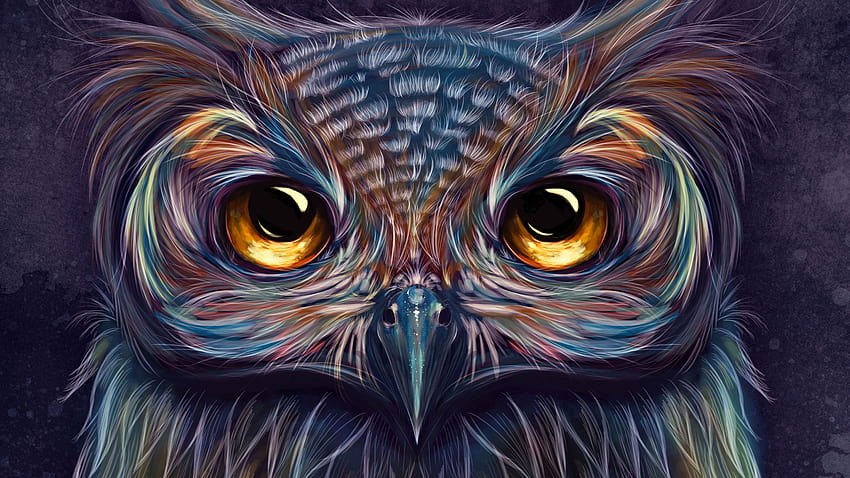 Owl Midnight Robert Farkas セクション [1332x850] for your 、モバイル & タブレット、ミッドナイト フクロウ 高画質の壁紙