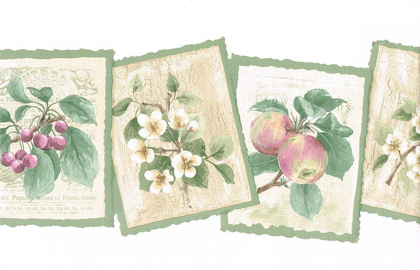 Borde de sello de flores y frutas color crema fondo de pantalla