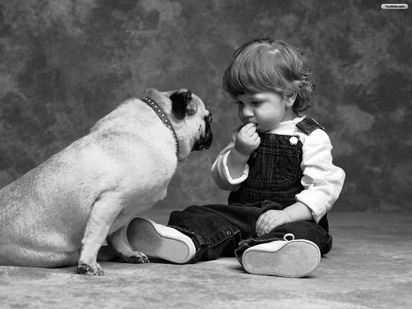 Cute Little Boy With Dog Best Friend, boy and dog HD wallpaper
