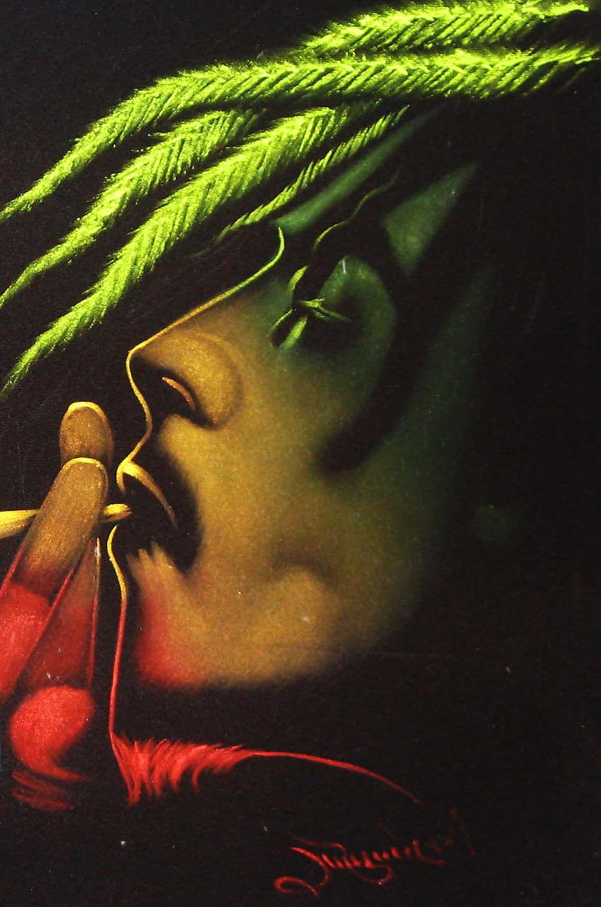 Bob Marley Smoking Weed, joint HD phone wallpaper