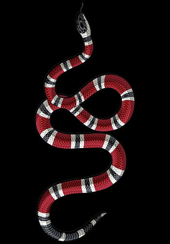 Red snake - con rắn đỏ. Hình ảnh này sẽ đem lại cho bạn sự tò mò và khám phá. Hãy cùng chiêm ngưỡng con rắn đỏ trong hình ảnh và khám phá những bí mật đằng sau nó.