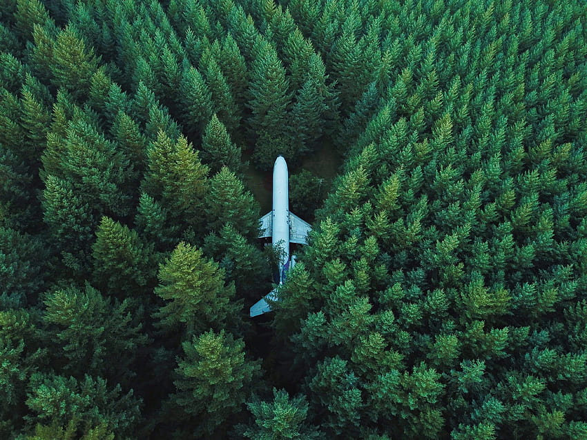 Plane In Middle Of Forest , Planes, in the forest HD wallpaper