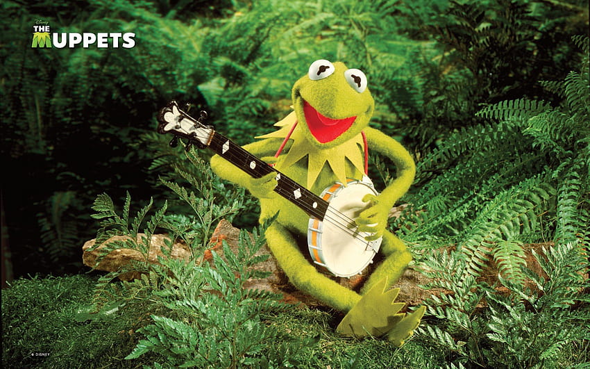 กบสีเขียว Kermit the Frog แบนโจ Jim Henson 1920x1200 [1920x1200] สำหรับมือถือและแท็บเล็ตของคุณ วอลล์เปเปอร์ HD