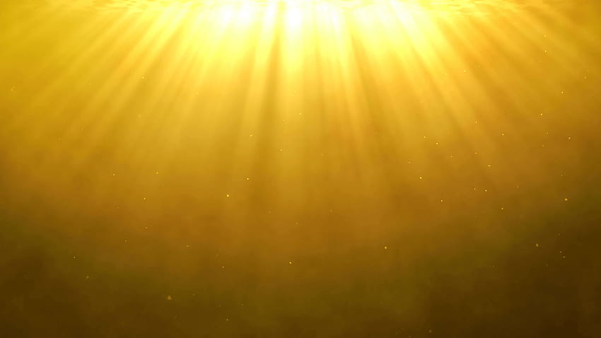 Divine light shining from above on a golden backgrounds with dust HD wallpaper