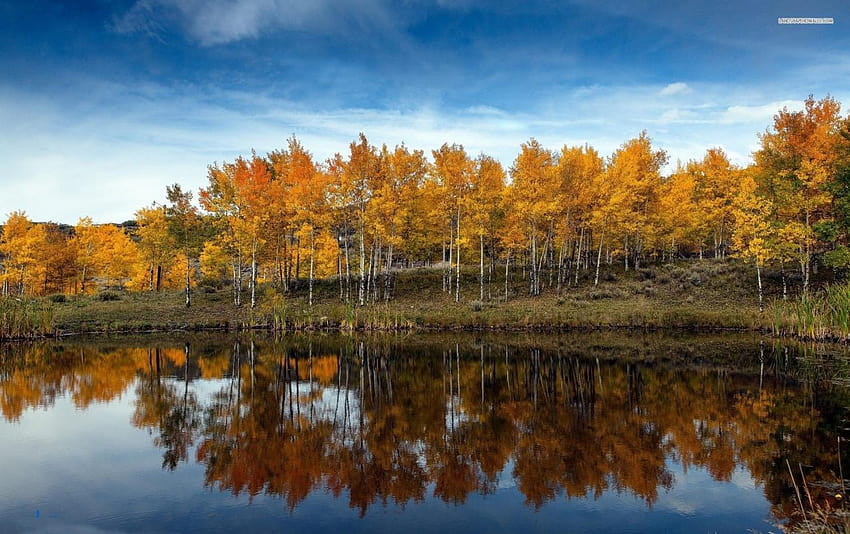 Golden Autumn Forest Reflect, golden autumn reflections HD wallpaper ...