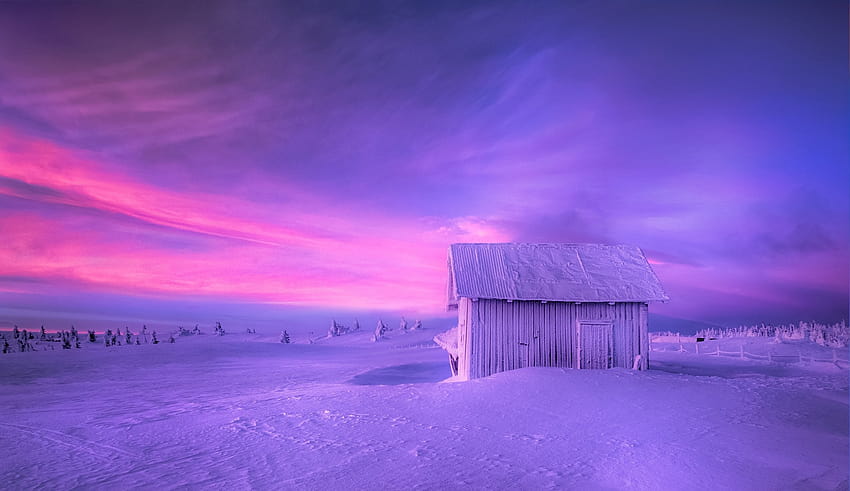 : landscape, sea, nature, sky, snow, winter, purple, sunrise, calm, ice, cold, Norway, evening, morning, frost, horizon, atmosphere, pine trees, hut, fence, Arctic, dusk, zing, cloud, dawn, computer , afterglow, phenomenon, winter purple ice HD wallpaper