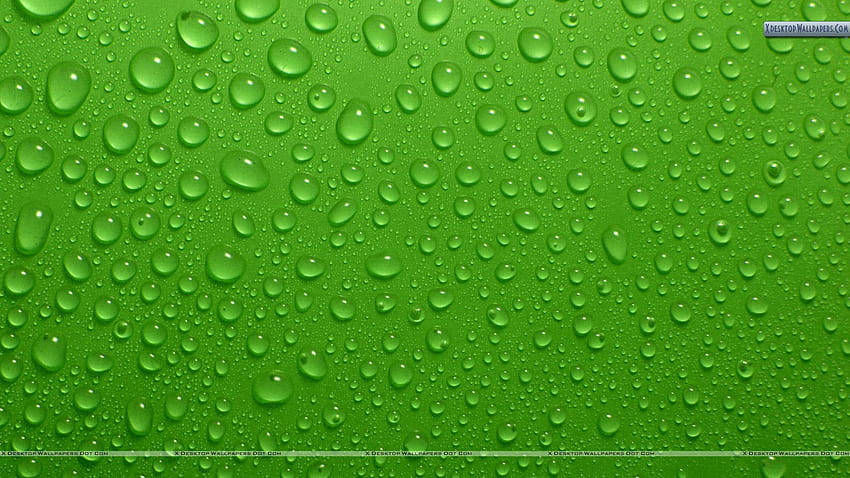 5 Green Backgrounds, solid green 3d water drops HD wallpaper