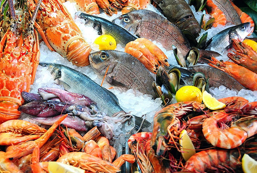 Морски дарове, рибна храна HD тапет