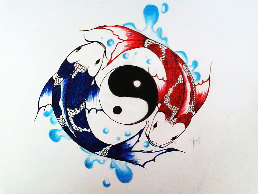 Avatar Koi Balığı, yin yang balığı HD duvar kağıdı