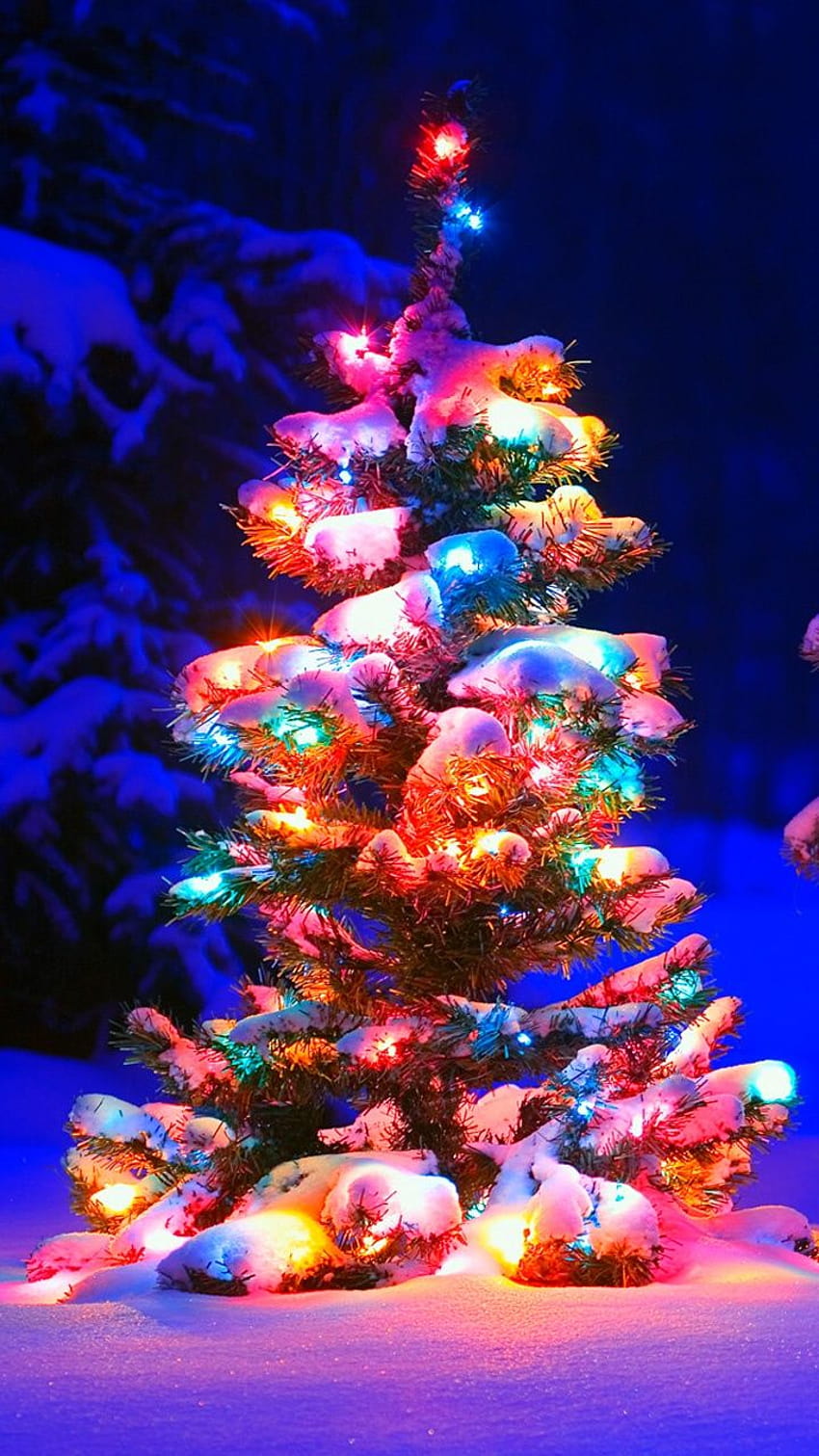 Karlı Noel Ağacı Işıkları, yılbaşı ağacı ve ışıklar için jpg formatında HD telefon duvar kağıdı