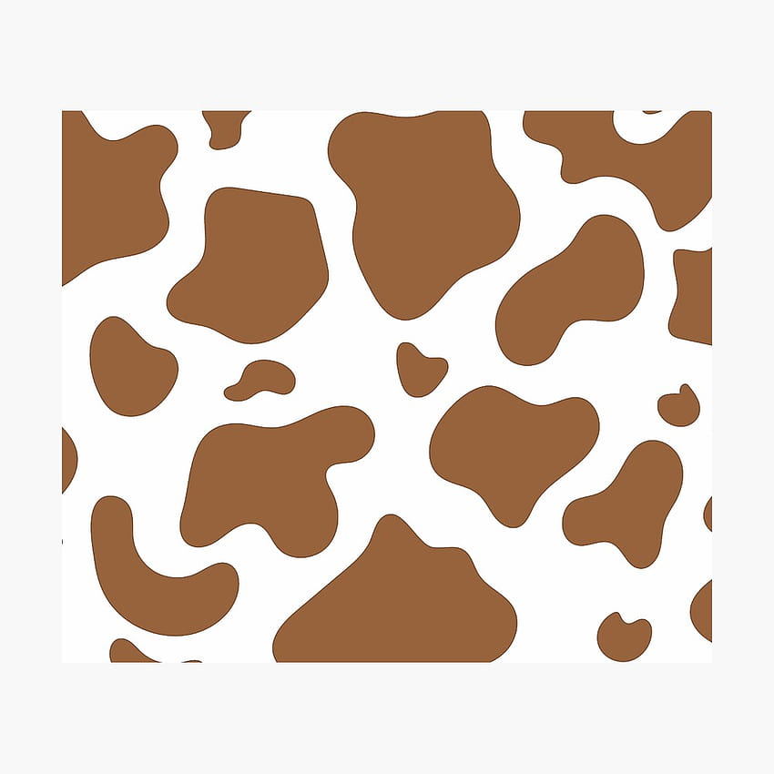 Brown cow HD wallpapers  Pxfuel