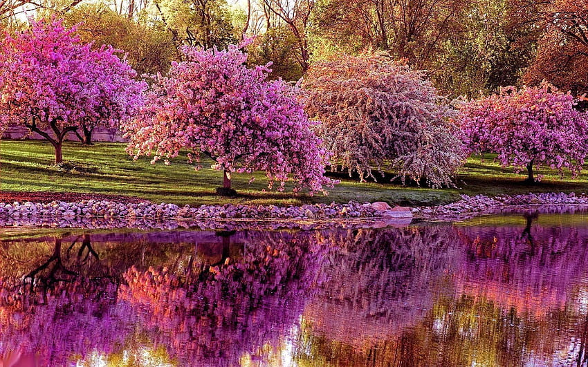 아름다운 봄 풍경, 봄이 시작됩니다 HD 월페이퍼