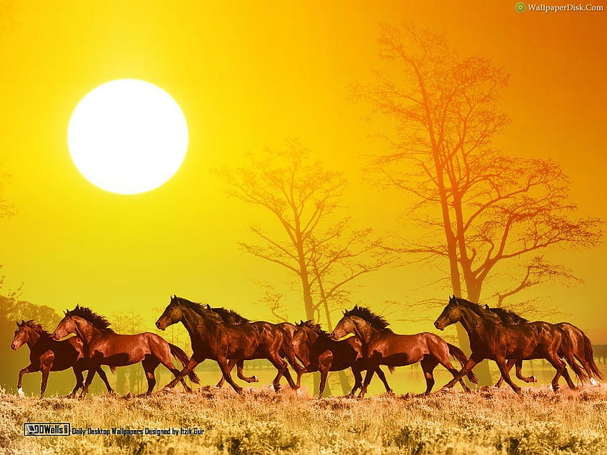 Những chú ngựa đang chạy phiêu lưu trên đồng cỏ mênh mông - hình ảnh nhanh chóng và lôi cuốn của sự tự do. Hãy chọn hình nền này như một bảng tường vì nó sẽ mang đến sự cổ điển, một chút hoang dã và tuyệt vời.