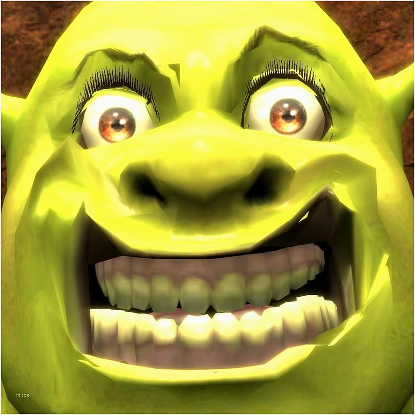 Shrek Best Of Serupa Dank Meme Backgrounds, meme 2019 wallpaper ponsel HD