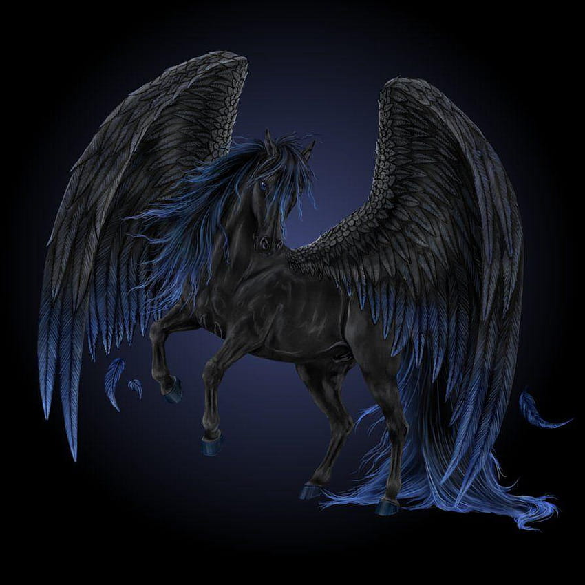 Black Pegasus by Howrseprofile, pegasus png HD phone wallpaper