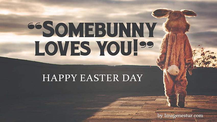 Best IDS [2020] Happy Easter Quotes & Captions, easter cows HD wallpaper