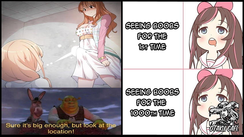 Nothign beats Thicc : Animemes  Memes de anime, Meme de anime, Imágenes  graciosas