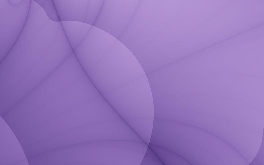 Purple, background abstract ungu HD wallpaper