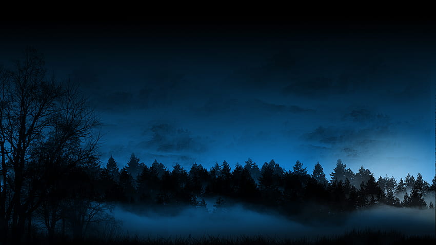 Cloud Cold Dark Fog Forest Landscape Night Winter, cold forest HD wallpaper
