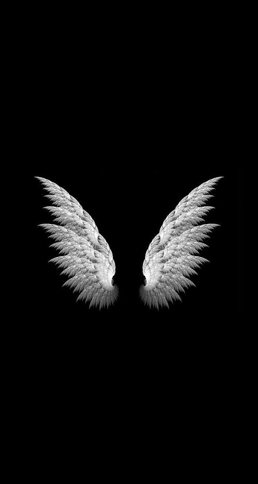 天使の羽、黒く美しい HD電話の壁紙