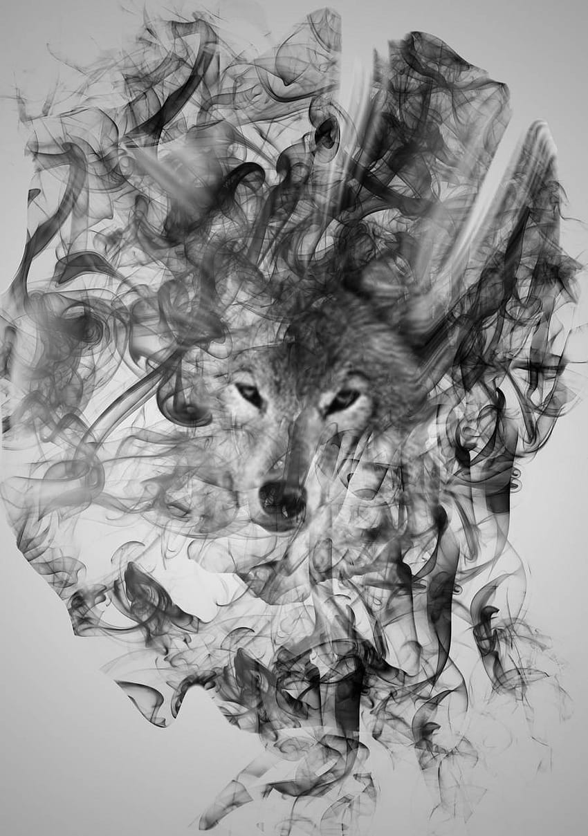 Flowy Wolf Art by KaraBoiii HD phone wallpaper