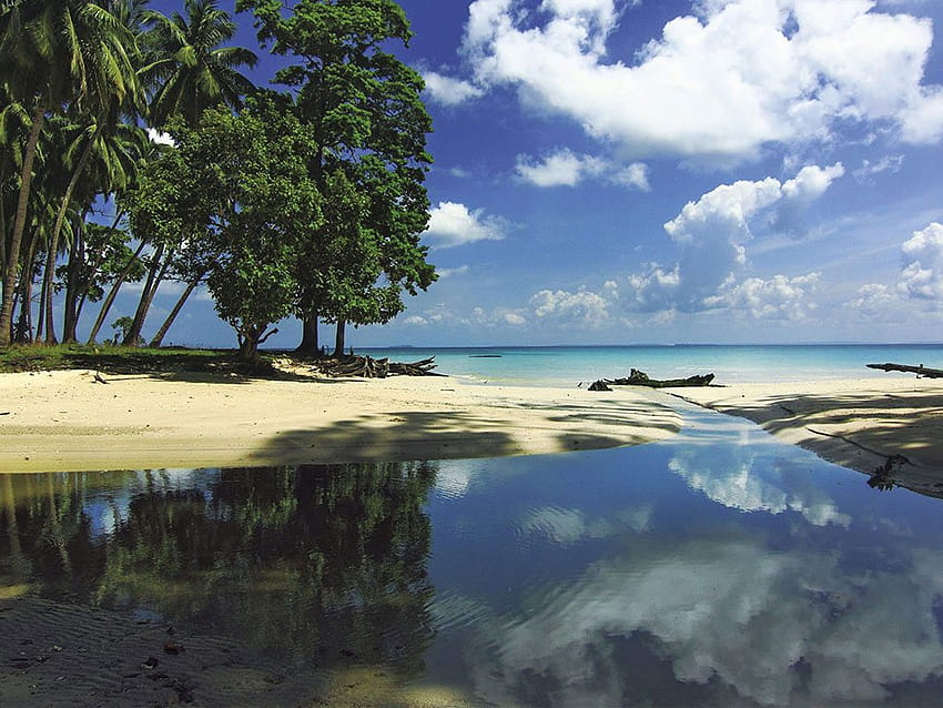 Off the Grid in the Andaman & Nicobar Islands, neil island india HD wallpaper
