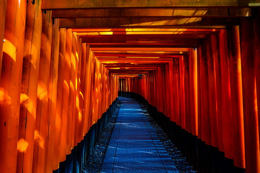 fushimi inari taisha, japonia, świątynia, torii i tła Tapeta HD
