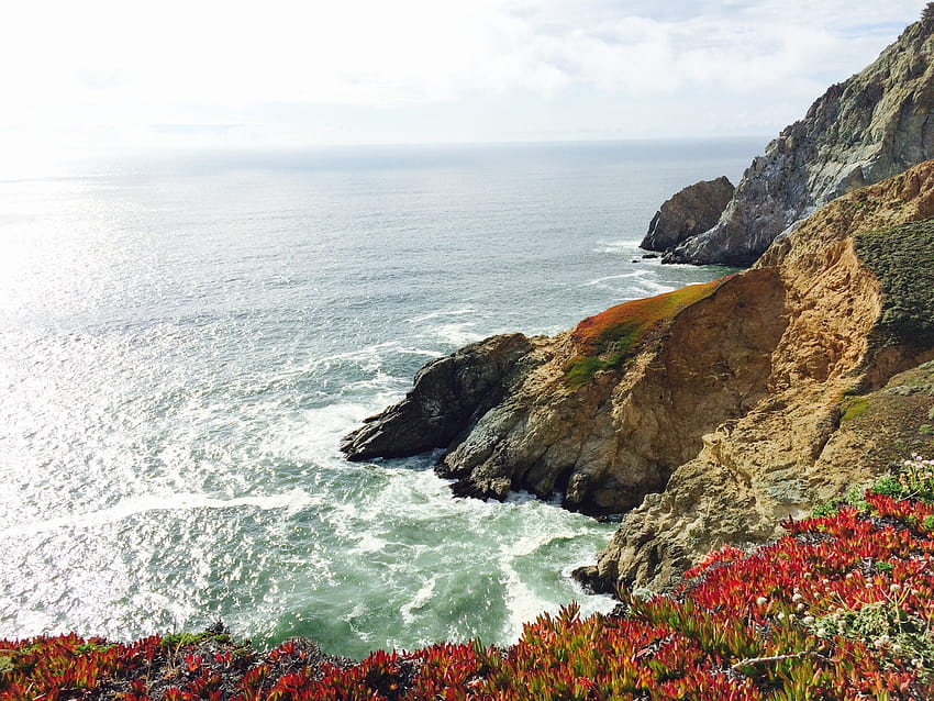 cliff edge with flowers overlooking rocky ocean coastline at, rock cliff coast HD wallpaper