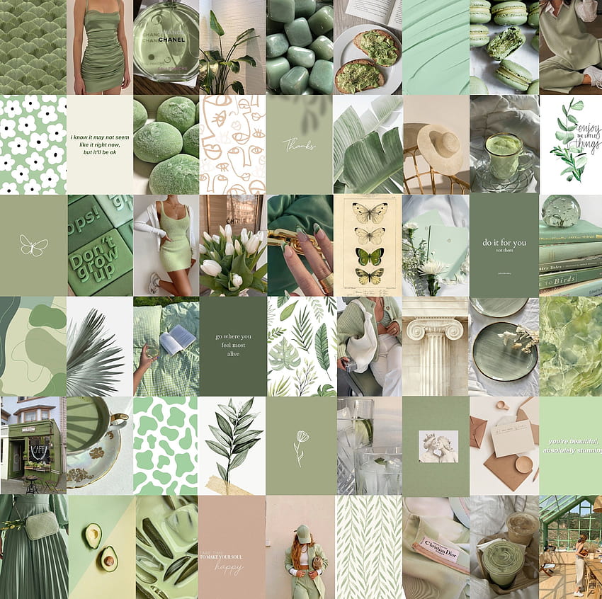 60 DIGITAL Sage Green Aesthetic Collage Sage Green Photo Wallpaper