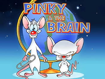 mlp pinky and brain
