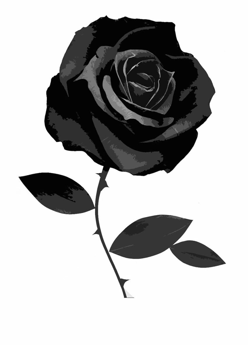 Aesthetic tumblr black roses HD wallpapers | Pxfuel