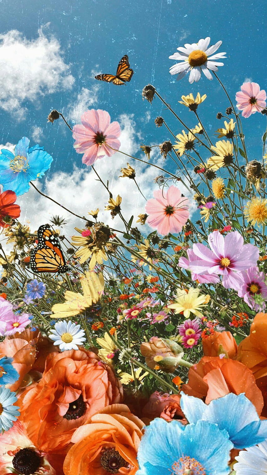 flower …, flowers and butterfly aesthetic HD phone wallpaper