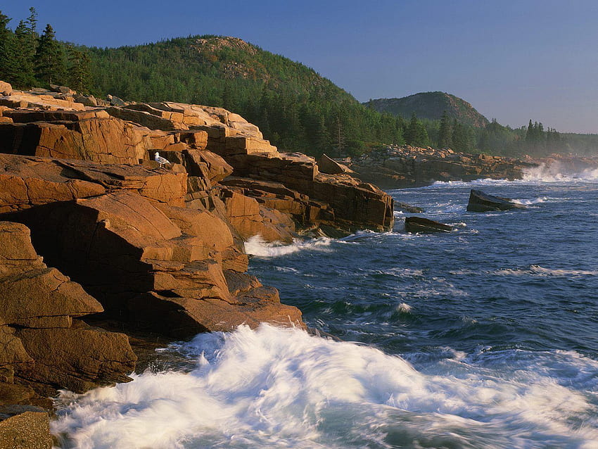 South Shields Web Design Resources, acadia national park HD wallpaper