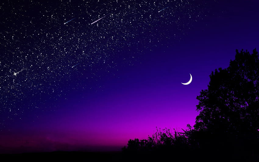 księżyc, drzewo, gwiaździste niebo, noc, gwiazdy, ciemny, fioletowy estetyczny chromebook Tapeta HD