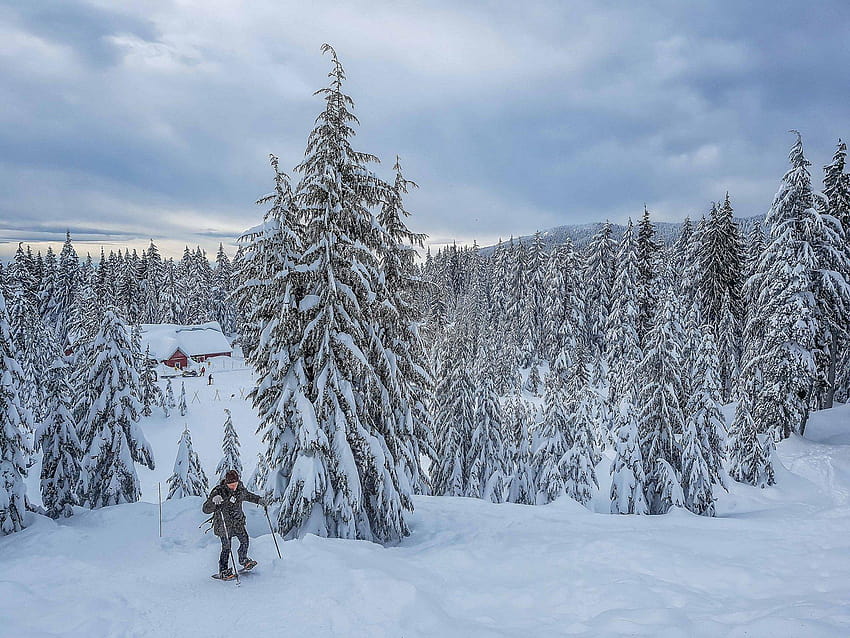 Periodo migliore per Racchette da neve a Vancouver 2020, inverno nel parco nazionale di riisitunturi Sfondo HD