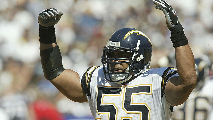 Junior Seau's doctor accused of neglect, reportedly faces losing HD wallpaper