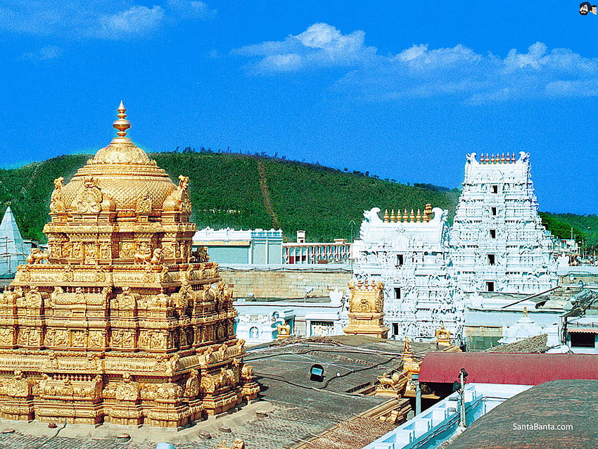 Venkateswara Temple, Tirumala Tirupati, Andhra Pradesh, tirupati temple HD wallpaper