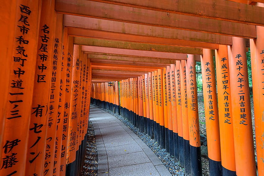 Fushimi Inari Shrine, fushimi inari taisha HD wallpaper