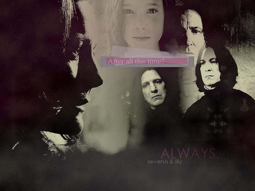 Severus and Lily, after all this time HD wallpaper