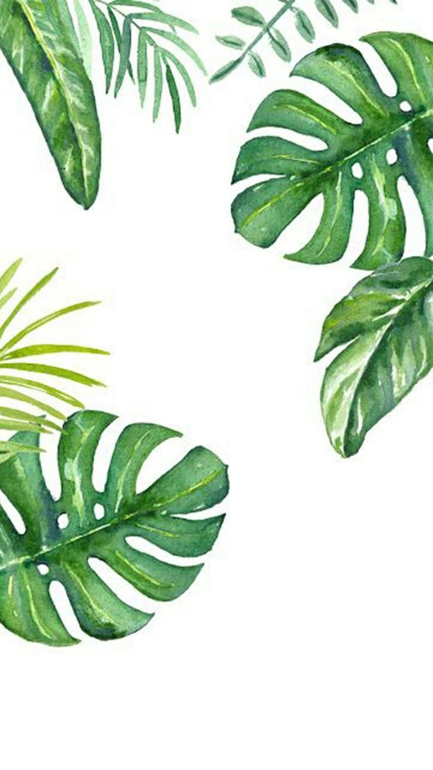 熱帯植物の絵、 HD電話の壁紙