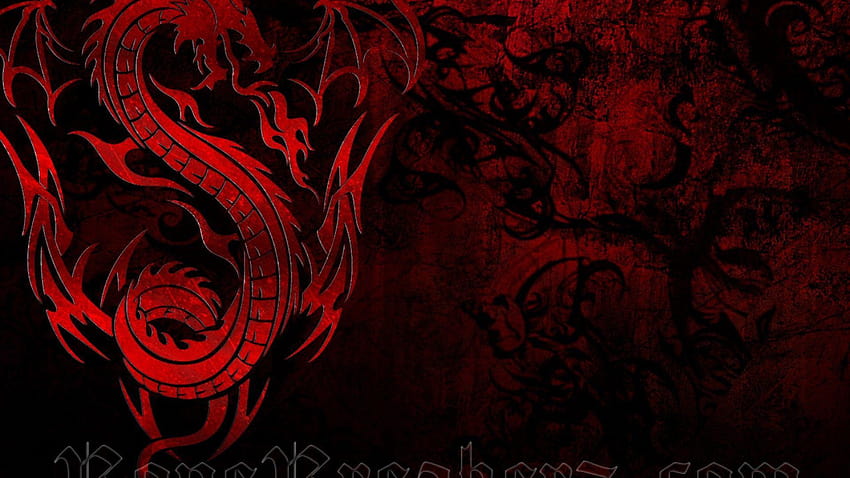 Tribal K LanLinGLaureL Graphics, black dragon tribal HD wallpaper