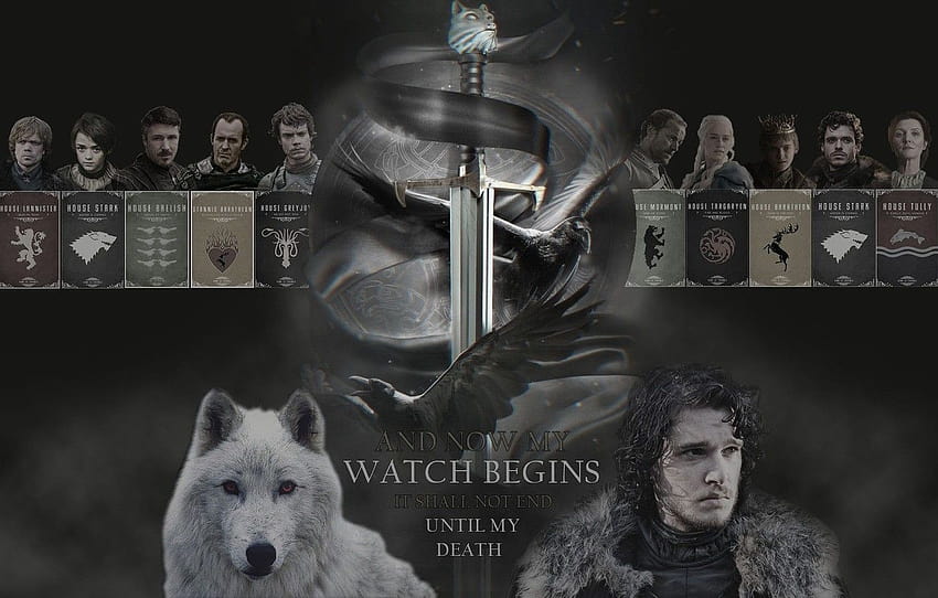 espada, corvo, leão, Ken, lobo, dragão, As Crônicas de Gelo e Fogo, Guerra dos Tronos, Winterfell, Westeros, veado, Stark, Targaryen, Lannister, Tyrell, Greyjoy, seção фильмы, família Stark papel de parede HD